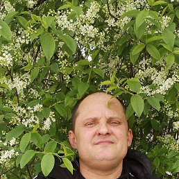 ����, 47 ���, �����-���������