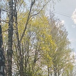 Vadim, �������, 47 ���