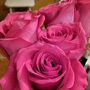 ���� �����, ����������, 55 ��� - ��������� 29 ������� 2023 � ������ ���� ����������