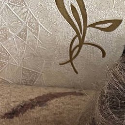 ������, �����-���������, 58 ���