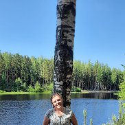 , 41 , -