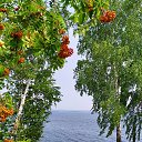 ���� �������@, �������� - ��������� 17 ������� 2026 � ������ ������ ��������