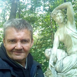 , 53 , 