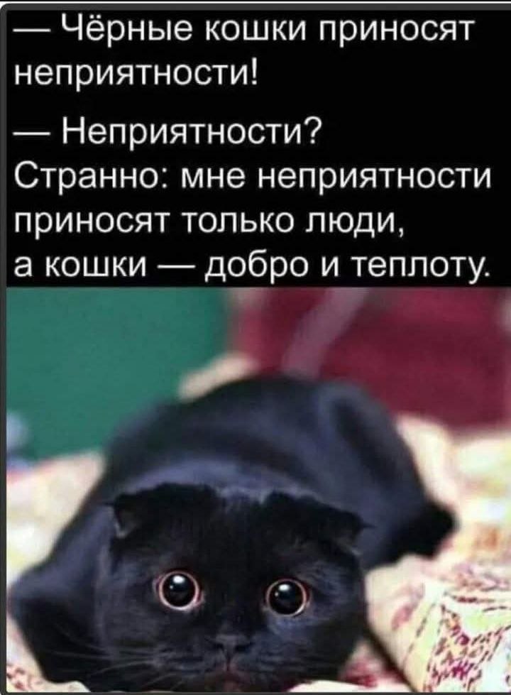 ПреЛЮДИи чувств - 12 августа 2025 в 05:33