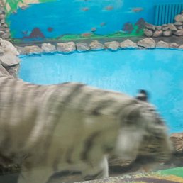 ���� �����, ����, 49 ��� - ��������� 27 ������� 2025