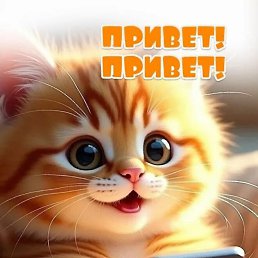 ���� ����, �������, 40 ��� - ��������� 20 ���� 2026