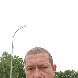 , 43 , 