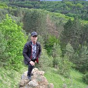 , 52 , 