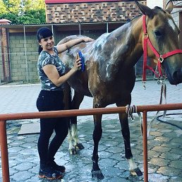 �������, ����� (�������), 28 ���