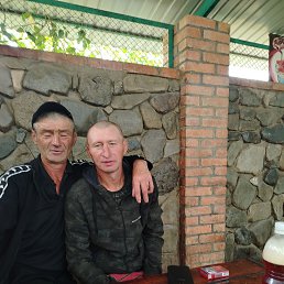 , 53, 