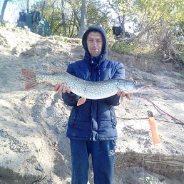 ������, 50 ���, ������