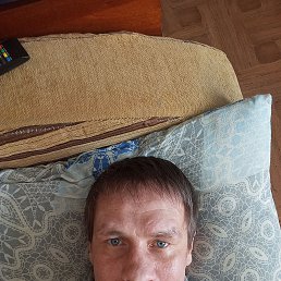 ���� �������, ������, 41 ��� - ��������� 8 ������ 2026