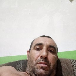 , 41, 