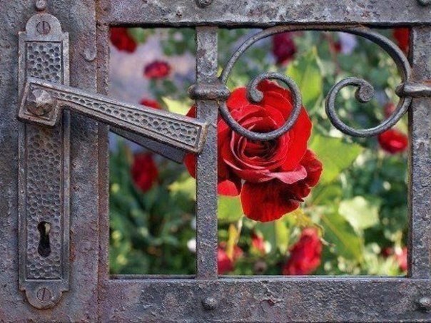 ����� ���� ����� ������� ����������� , ����������� ������; �� �� ����� �� �������� �, ����������� ...