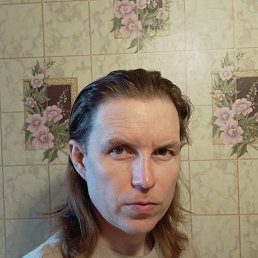 , 41, 