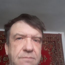 , 61, 