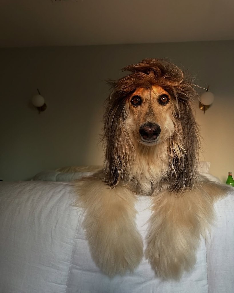     .  .  , ,    ... - 4