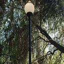 ���� �������, �������� - ��������� 6 ������� 2025 � ������ ���� ����������