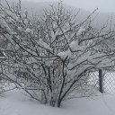 ���� �����, ������ - ��������� 13 ���� 2024 � ������ ���������