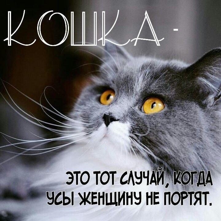   - 29  2025  10:34