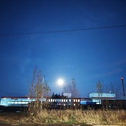 ���� �������, ������������, 28 ��� - ��������� 15 ������� 2025