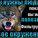���� ������, ������, 39 ��� - ��������� 6 ������� 2026 � ������ ���� ����������