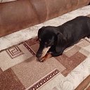 ���� �������, ������, 61 ��� - ��������� 29 ����� 2024 � ������ ���� ����������