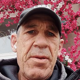 �����, ���������, 54 ����