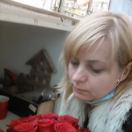 ����, ��������, 48 ���