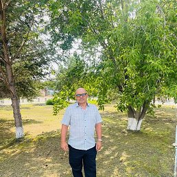 �����, ������������, 56 ���