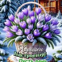 ���� �������, �������� - ��������� 26 ������� 2026 � ������ ������ ��������