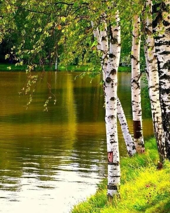 Не жалею, не зову, не плачу, Всё пройдёт, как с белых яблонь дым. Увяданья золотом охваченный, Я не ... - 2