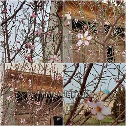 ���� �����, ������, 38 ��� - ��������� 11 ������� 2024