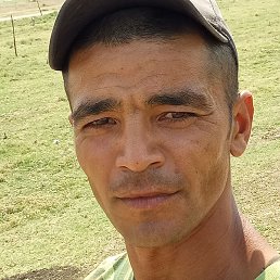 �������, ���������, 33 ����