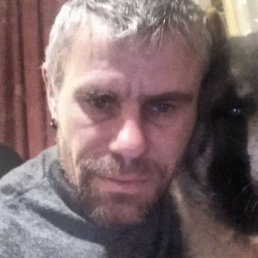 �����, �����-���������, 45 ���