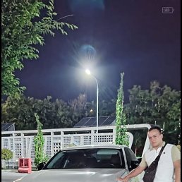 , 29, 