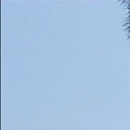 ����, ������, 53 ����