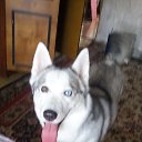 ���� ������, ������, 50 ��� - ��������� 19 ������ 2025 � ������ ���� ����������