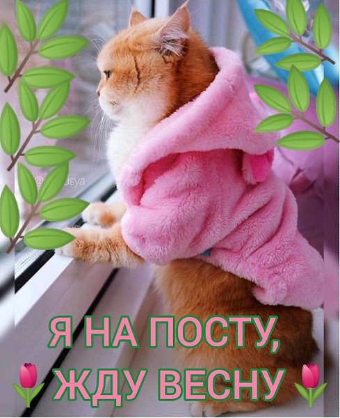 ��� ���� - 22 ������� 2026 � 17:31