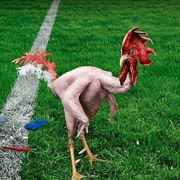 ���� �������, ����, 27 ��� - ��������� 14 ������� 2023