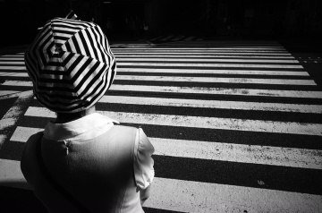 ������ �����. ����� ZTC (Zebra the City, ����� �����).Tadashi Onishi � �������� ��������, ������� � ... - 4