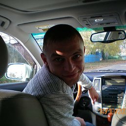 ������, 41 ���, ������