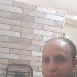 ���� �����, ����, 42 ���� - ��������� 24 ������ 2026