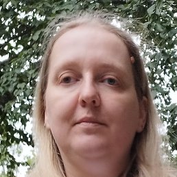 ��������, ������, 40 ���