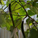 ���� �������, ������� - ��������� 20 ������� 2023 � ������ ����