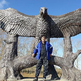 �������, ����, 51 ���