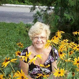 �������, ��������, 72 ����