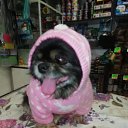 ���� ������, �����������, 45 ��� - ��������� 30 ������ 2023