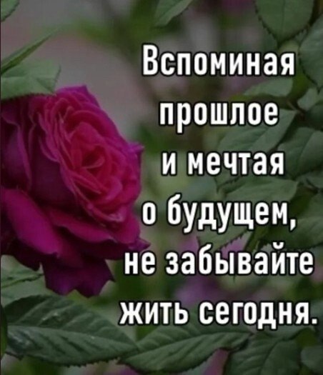  - 22  2025  07:33