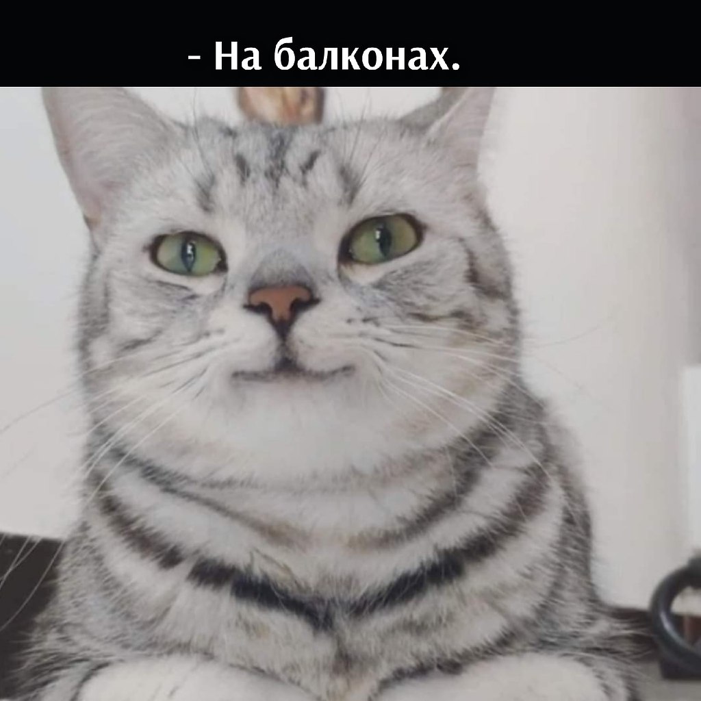 ��� ���� � ����� �� �� - 16 ������� 2025 � 17:03 - 2
